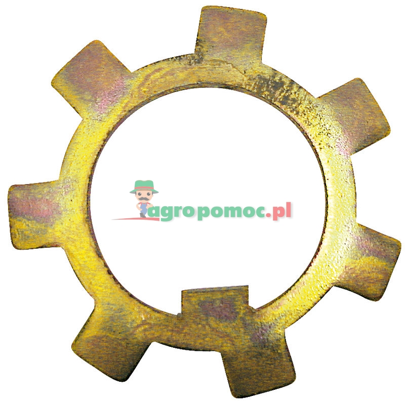 Locking plate | MT-34V | zdjęcie nr 1