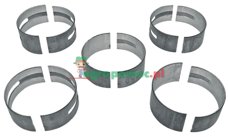 Main bearing set | 735168M91, 81558 | zdjęcie nr 1