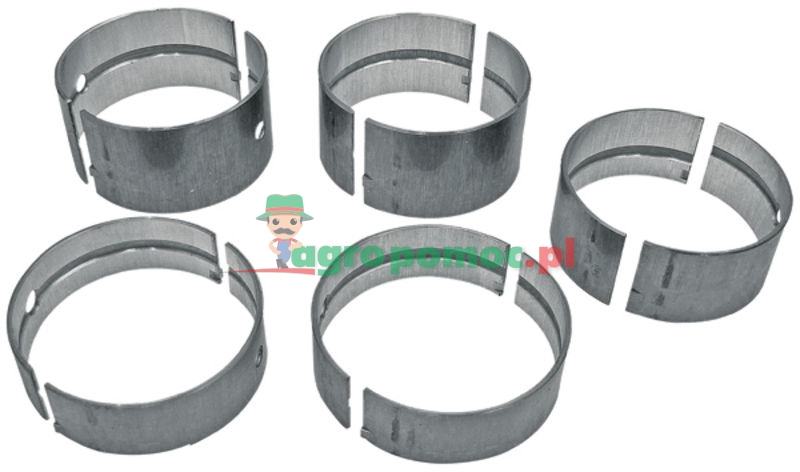 Main bearing set | 745405M91 | zdjęcie nr 1
