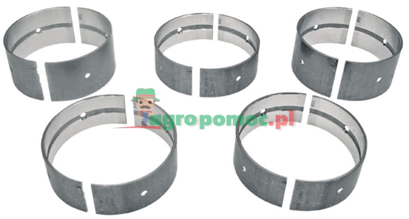 Main bearing set | 4x 55010107 + 4x 55010106 + 1x 55010109 + 1x 55010108 | zdjęcie nr 1