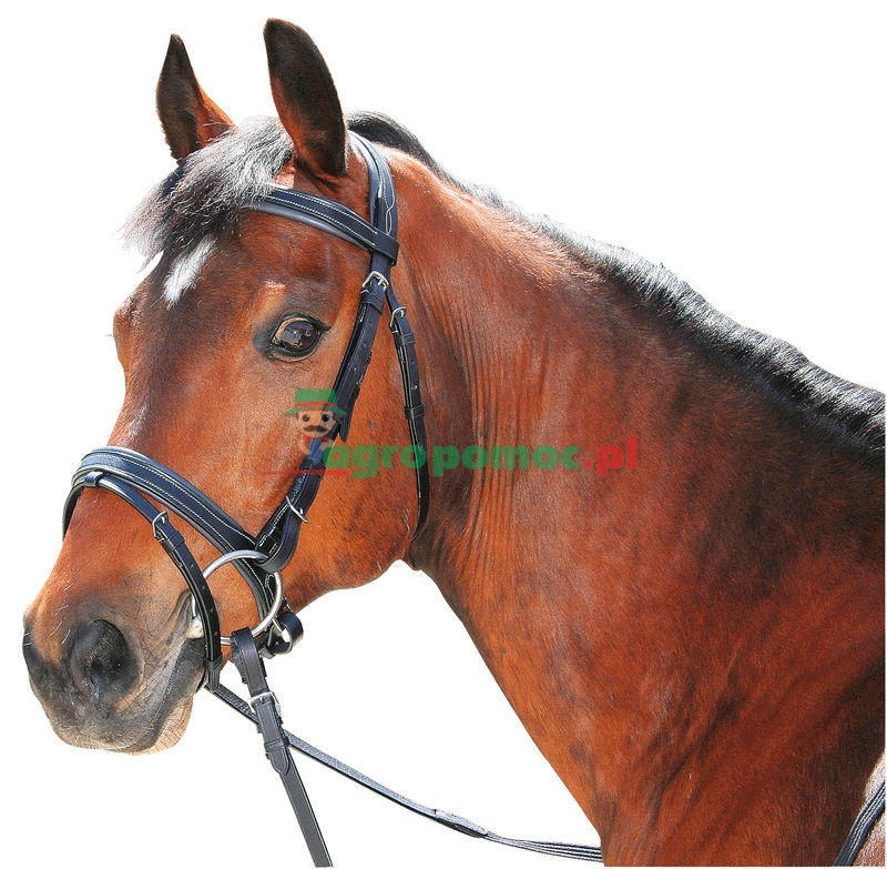 Noseband | zdjęcie nr 1
