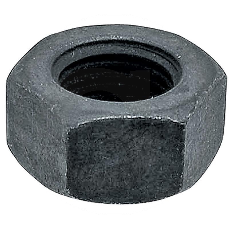 Nut | J934864 | zdjęcie nr 1