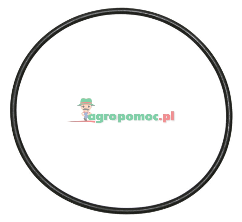 O-ring | zdjęcie nr 1