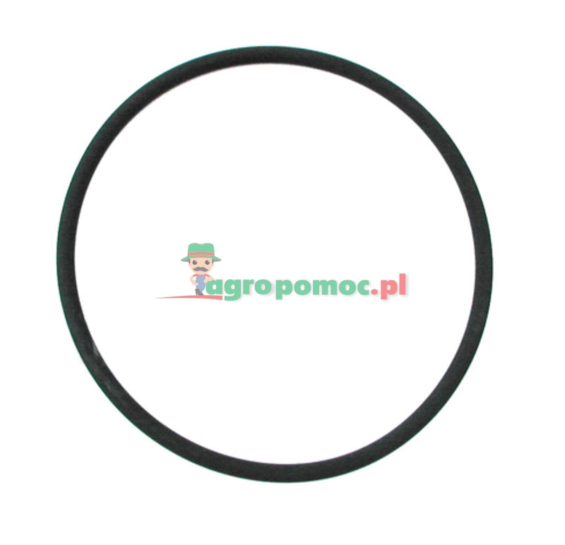 O-ring | 3228344R1 | zdjęcie nr 1