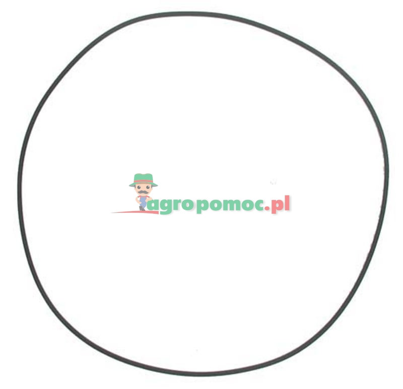O-ring | 130100041002 | zdjęcie nr 1