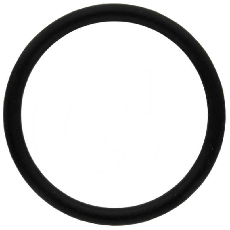 O-Ring | X548939066000 | zdjęcie nr 1