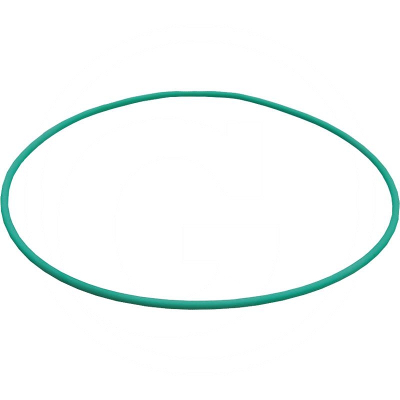 O-ring | zdjęcie nr 1