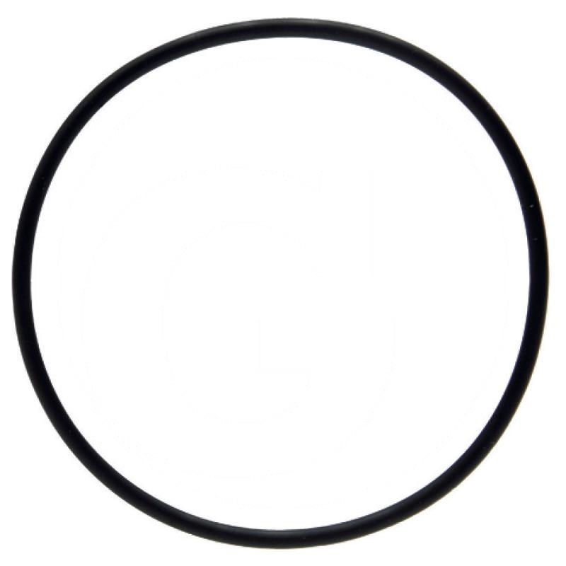 O-ring | R121424 | zdjęcie nr 1