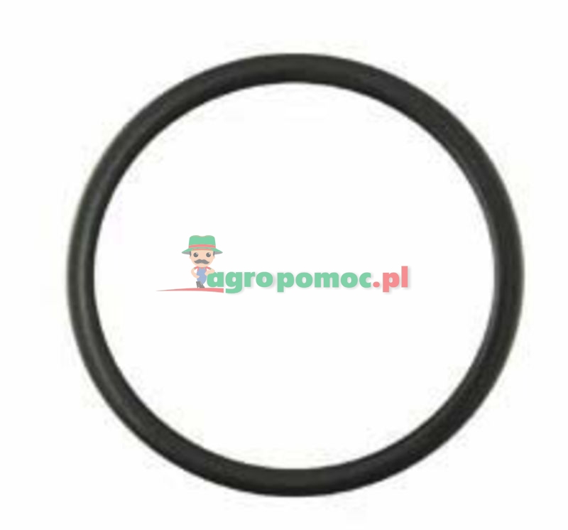 O-ring | 7701023121 | zdjęcie nr 1