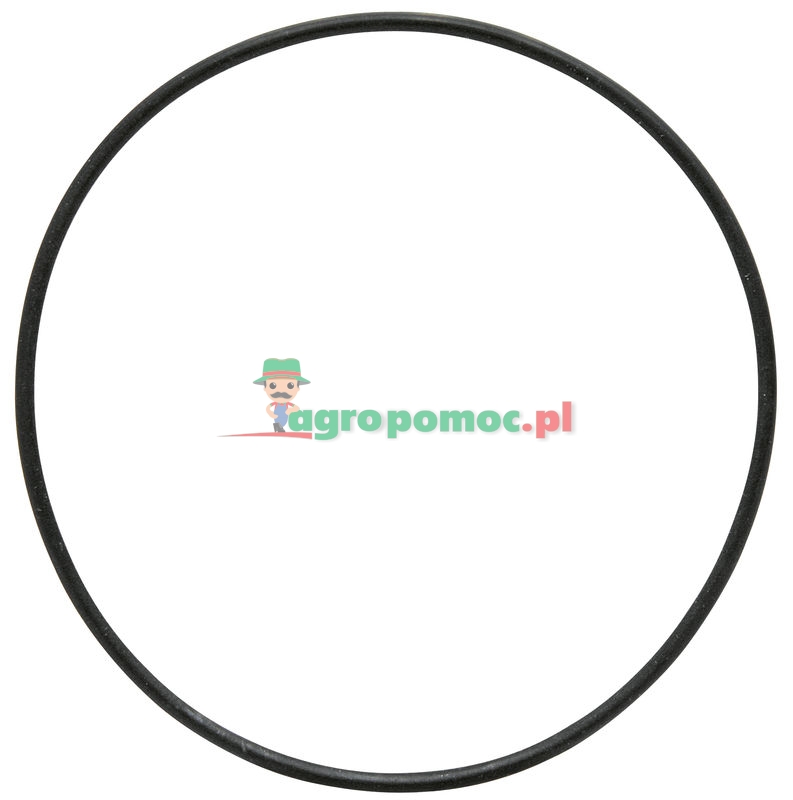 O-ring | 93.501.843 | zdjęcie nr 1
