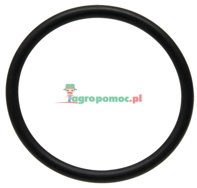 O-Ring | zdjęcie nr 1