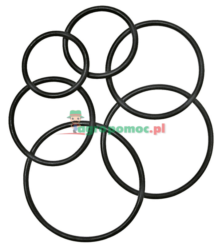 O-ring | zdjęcie nr 1