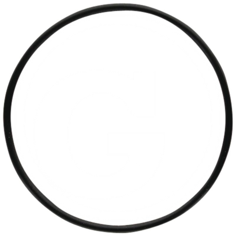 O-ring | zdjęcie nr 1