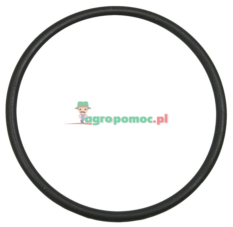 O-ring | ND-6304 | zdjęcie nr 1