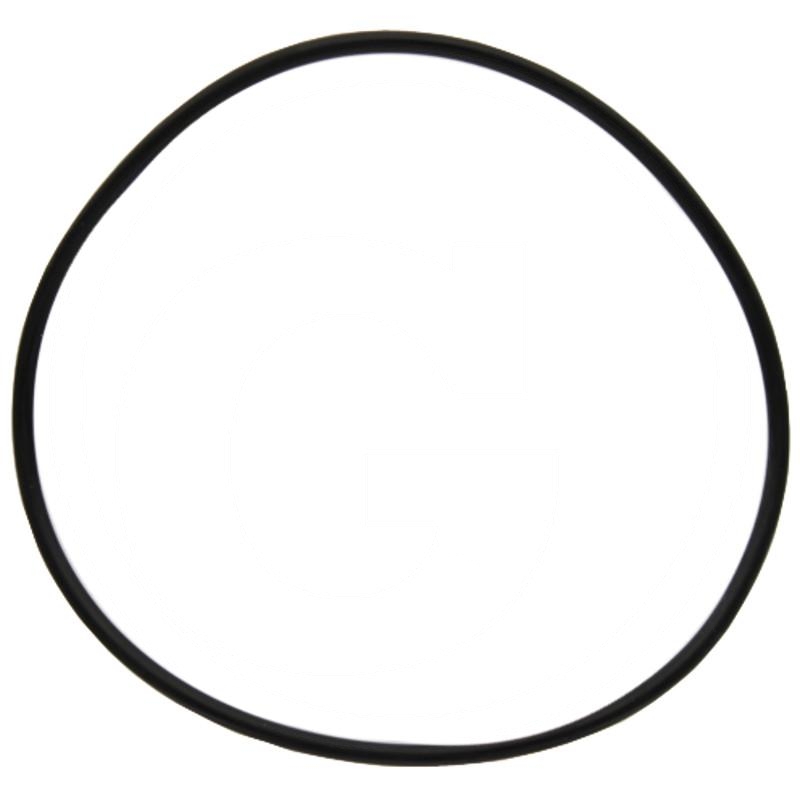 O-ring | X549284566000 | zdjęcie nr 1