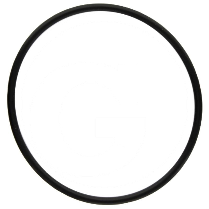 O-ring | X548967266000 | zdjęcie nr 1