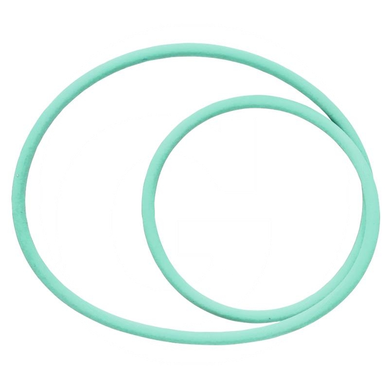 O-ring | X548994700000 | zdjęcie nr 1