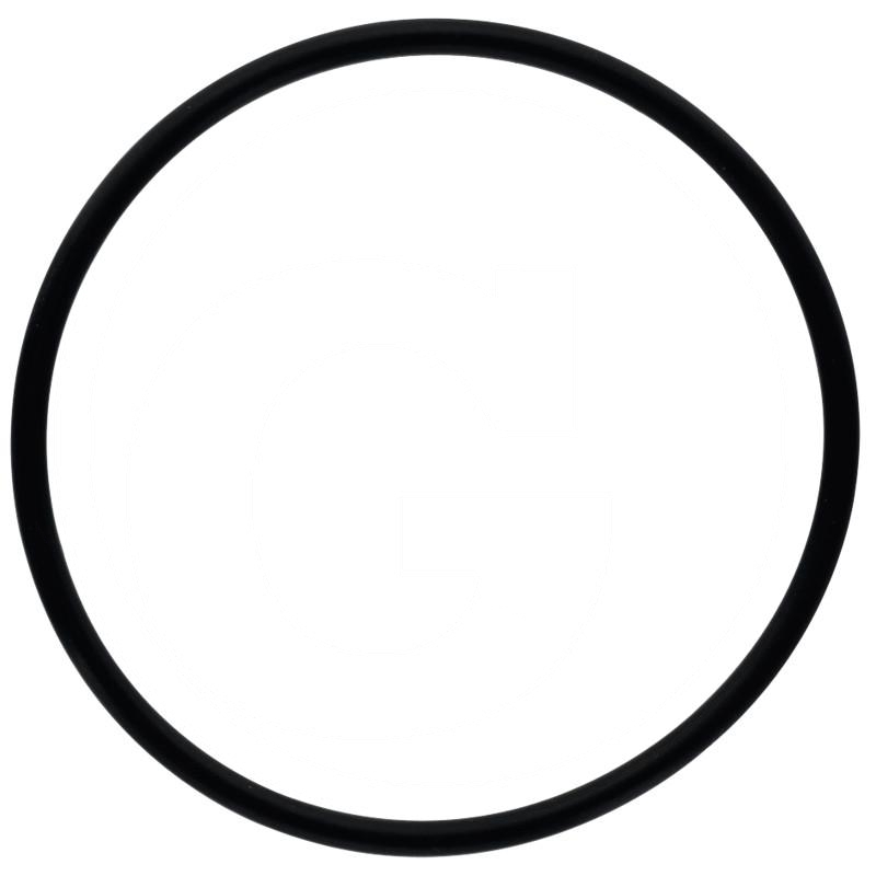 O-ring | 70923583, 1009659M1 | zdjęcie nr 1