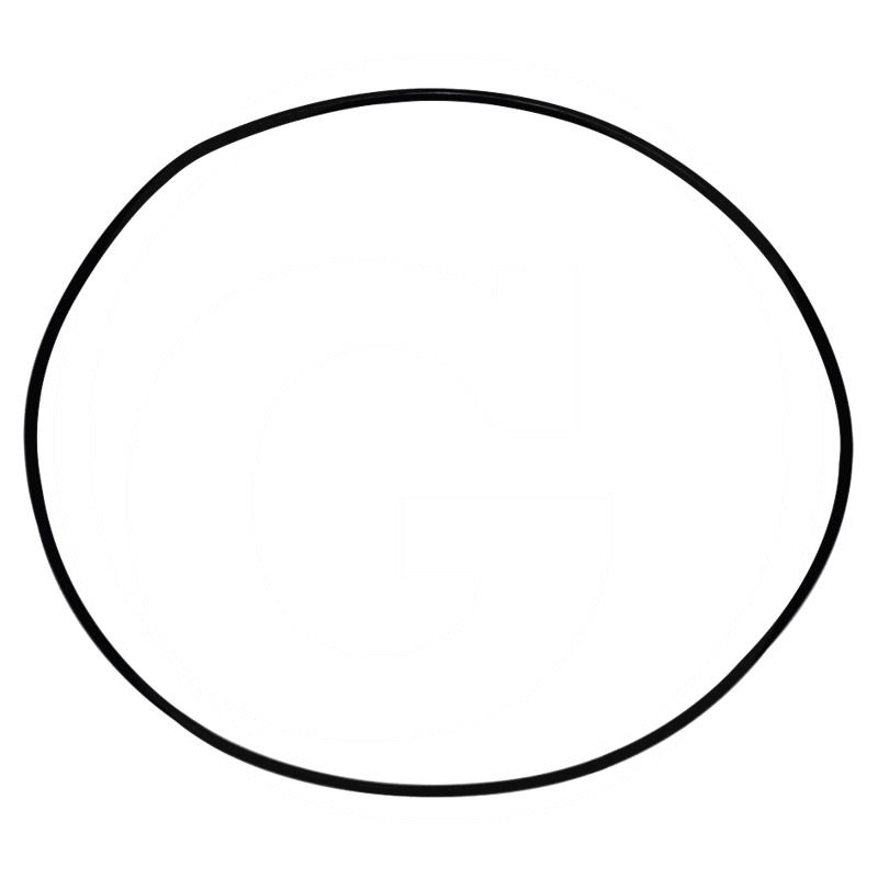 O-ring | 886089M1 | zdjęcie nr 1