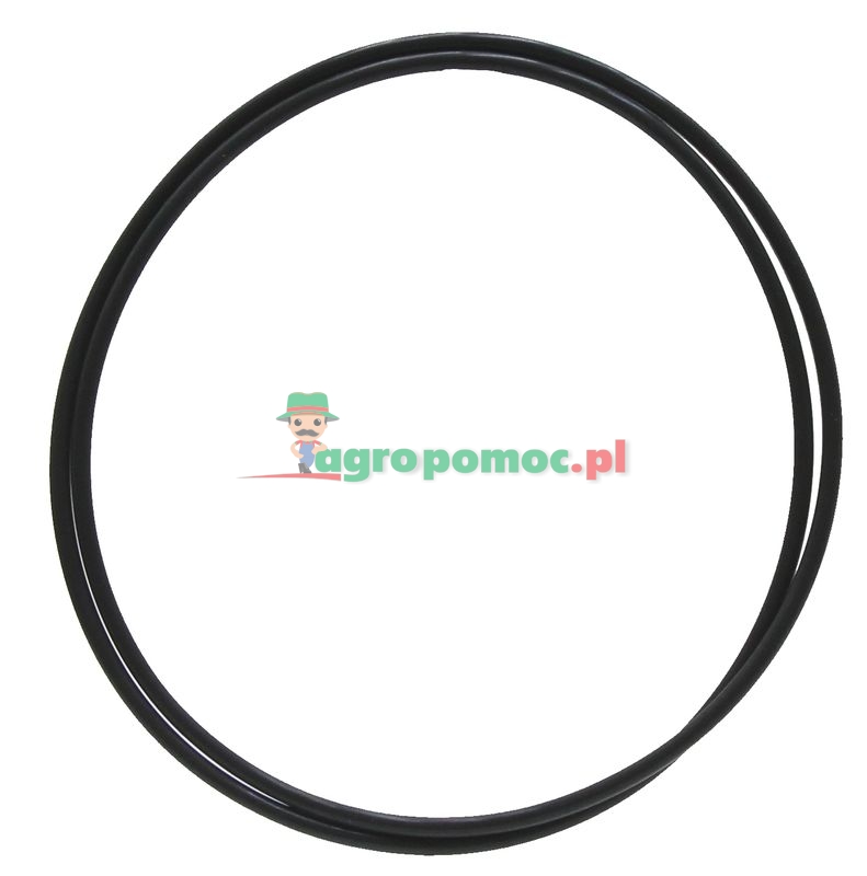 O-ring | 238-8274, 196080A1, 27659R1, 943565C1 | zdjęcie nr 1