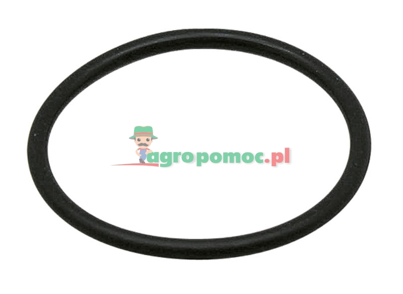 O-ring | 3147943R1 | zdjęcie nr 1