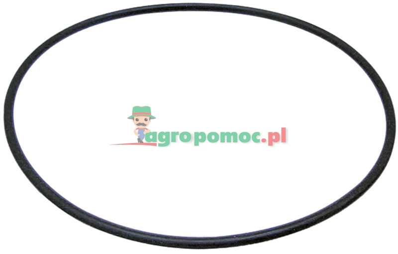 O-ring | 3057614R1 | zdjęcie nr 1