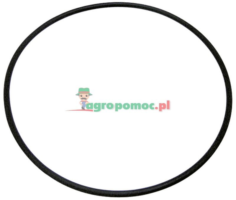 O-ring | 3057615R1 | zdjęcie nr 1