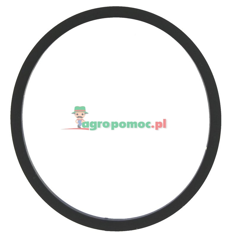 O-ring | 239-5342, 28763R1 | zdjęcie nr 1