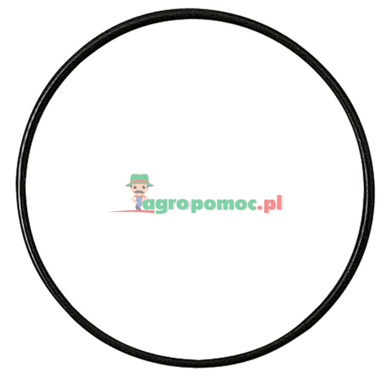 O-ring | R460R | zdjęcie nr 1