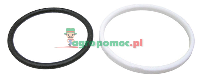 O-ring | 3761477M1 + 3761474M1, 1665684M91 | zdjęcie nr 1