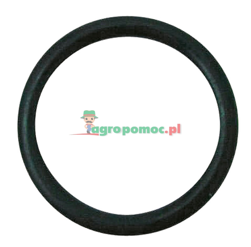 O-Ring | 3146701R1 | zdjęcie nr 1