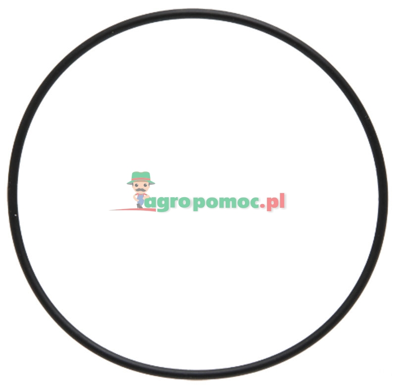 O-Ring | 1-33-742-035 | zdjęcie nr 1
