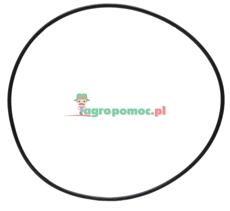 O-Ring | X568013000000 | zdjęcie nr 1
