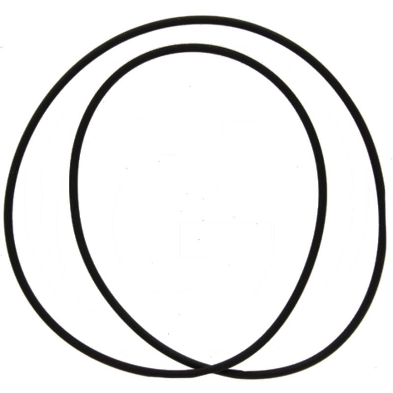 O-Ring | X549032500000 | zdjęcie nr 1