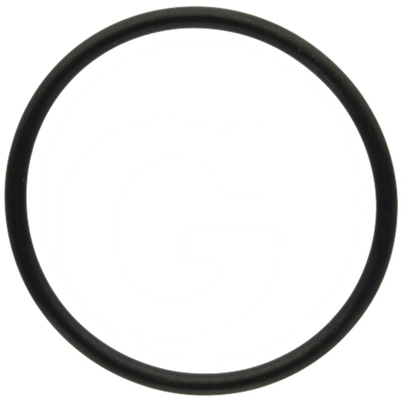 O-ring | zdjęcie nr 1
