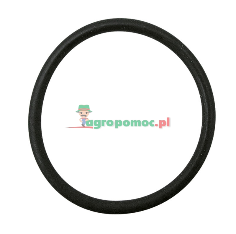 O-ring | 81419C1 | zdjęcie nr 1