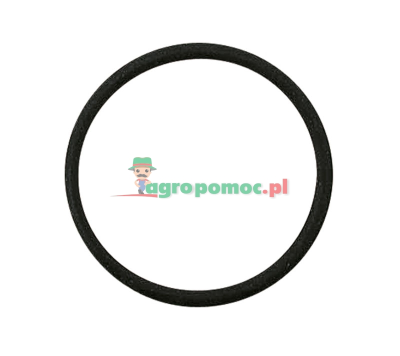O-ring | L60085 | zdjęcie nr 1