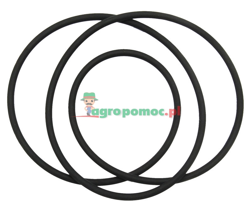 O-Ring | T82559 | zdjęcie nr 1