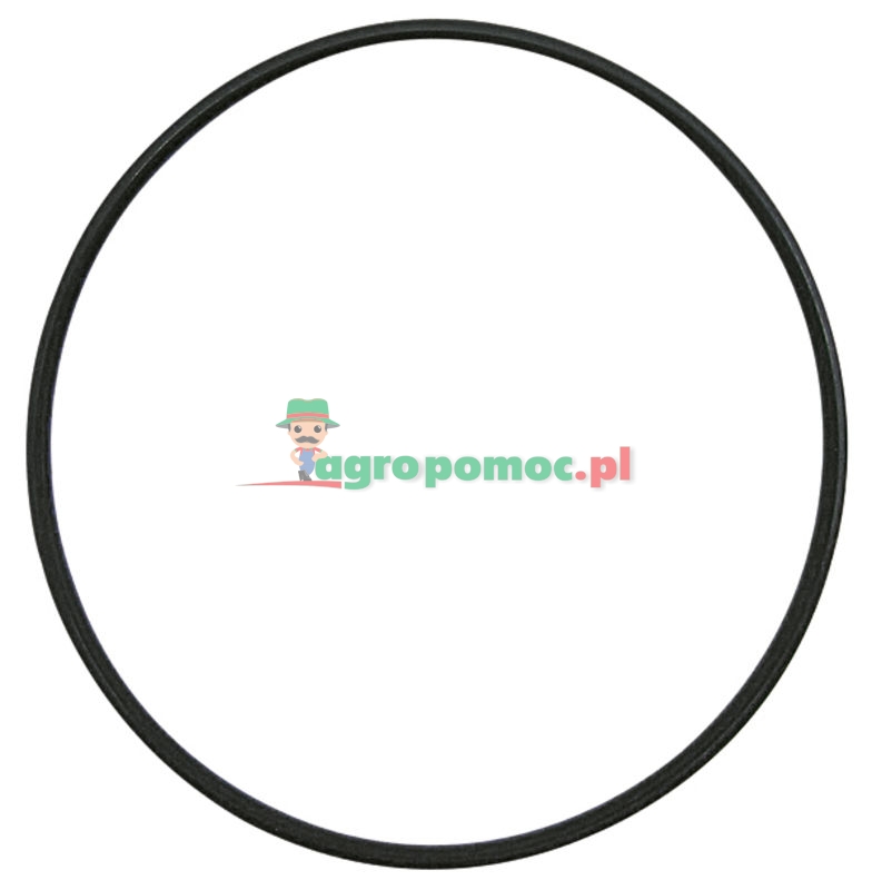 O-Ring | 371153X1 | zdjęcie nr 1