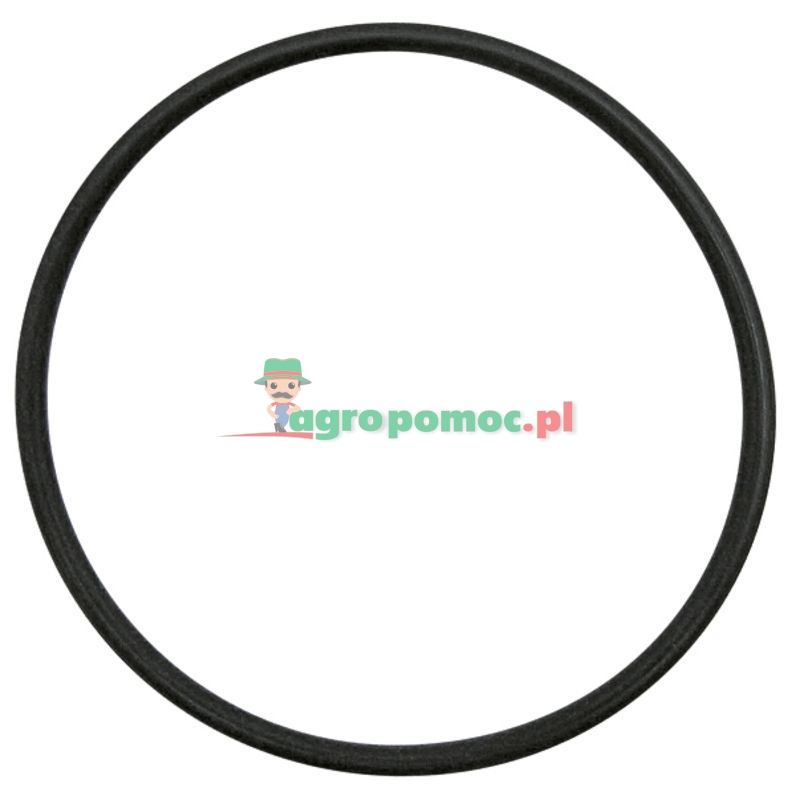 O-Ring | 1441885X1 | zdjęcie nr 1