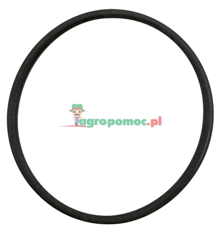 O-Ring | 3009744X1 | zdjęcie nr 1