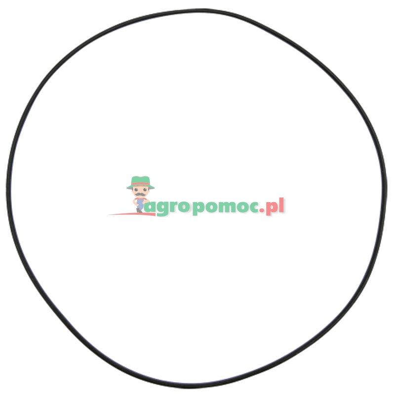 O-Ring | CAR028498, 137700410805 | zdjęcie nr 1