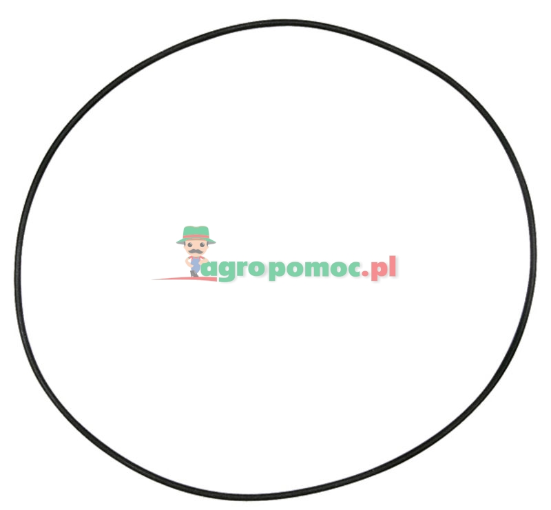 O-Ring | 6000103314 | zdjęcie nr 1