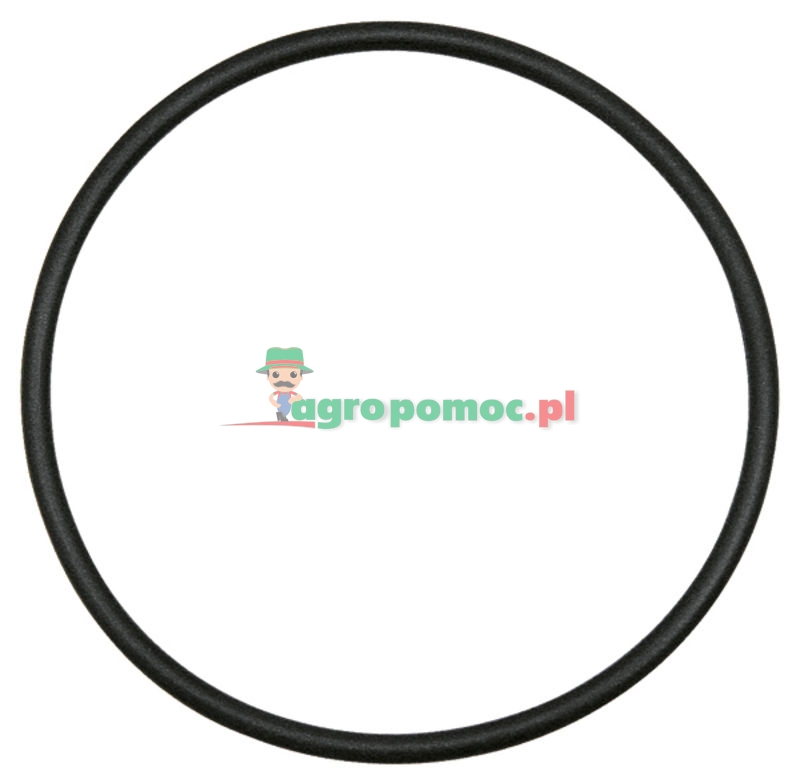 O-Ring | 6005021678 | zdjęcie nr 1