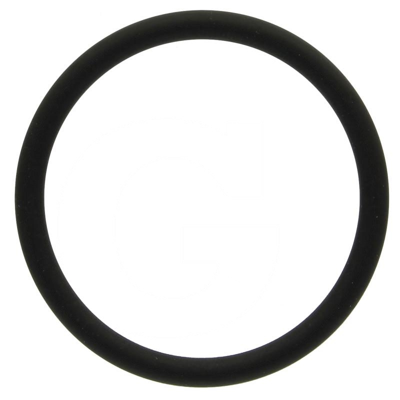O-ring | zdjęcie nr 1
