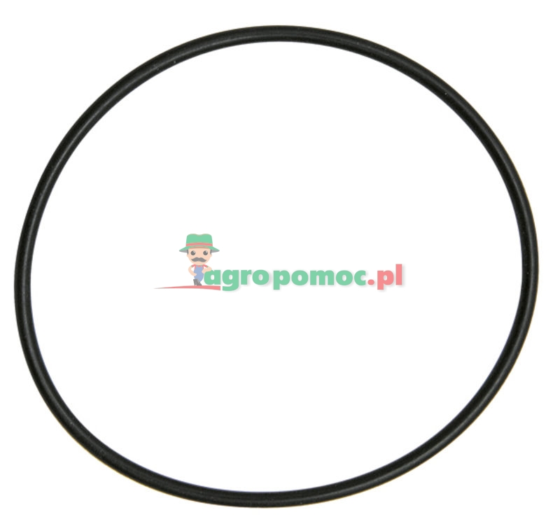 O-ring | zdjęcie nr 1