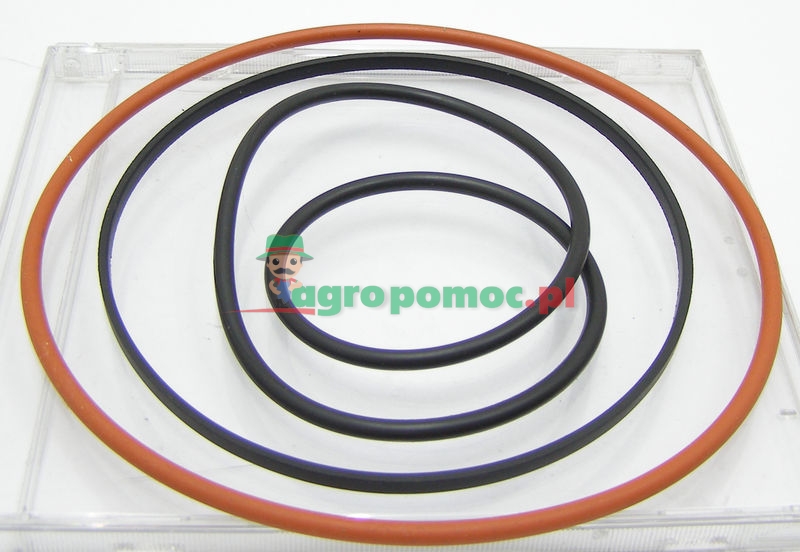 O-ring set | AR98850 | zdjęcie nr 1