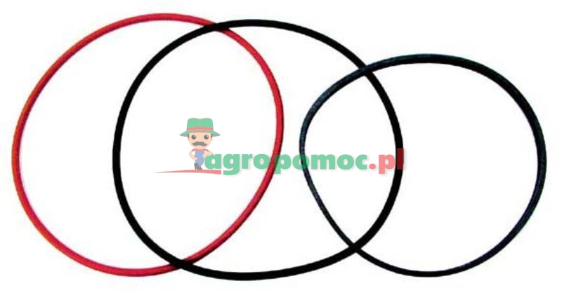 O-ring set | T32341 + R48637 x 2 | zdjęcie nr 1