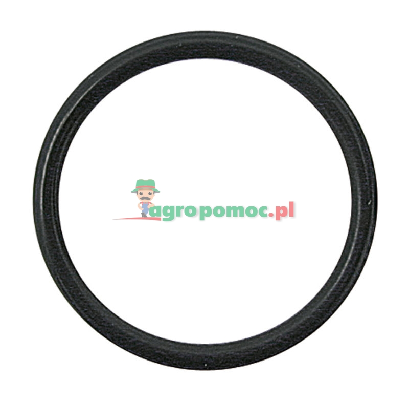 O-ring, Viton | zdjęcie nr 1