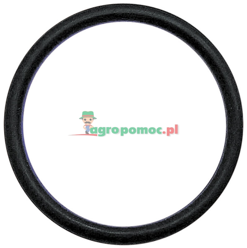 Oil seal | 2961.0037 | zdjęcie nr 1